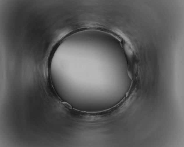 X0000088231269200705151445
