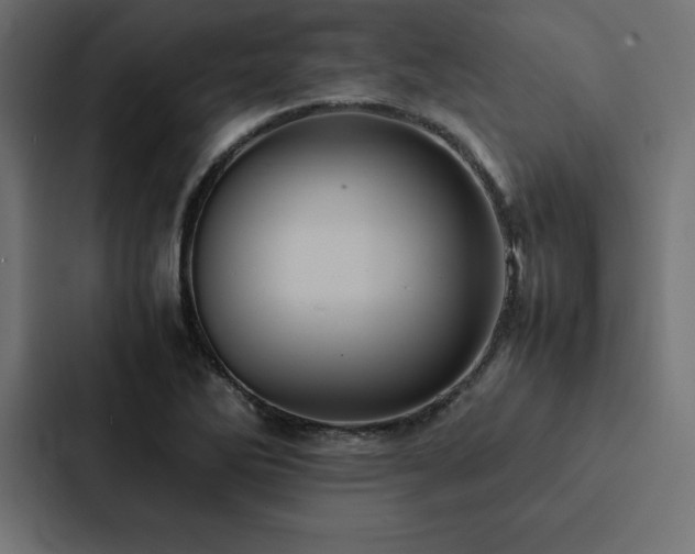 X0000088231270200705151445