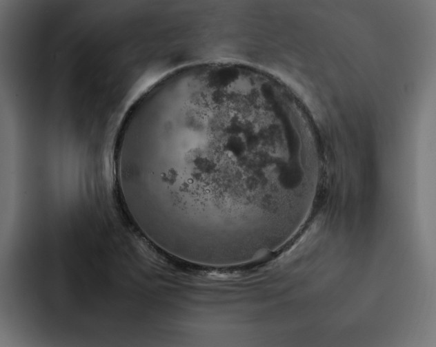 X0000088231271200705151445