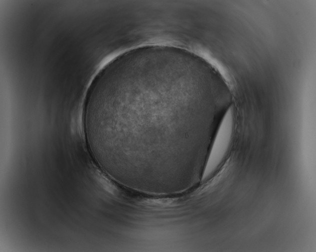 X0000088231272200705151445
