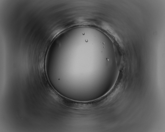 X0000088231273200705151445