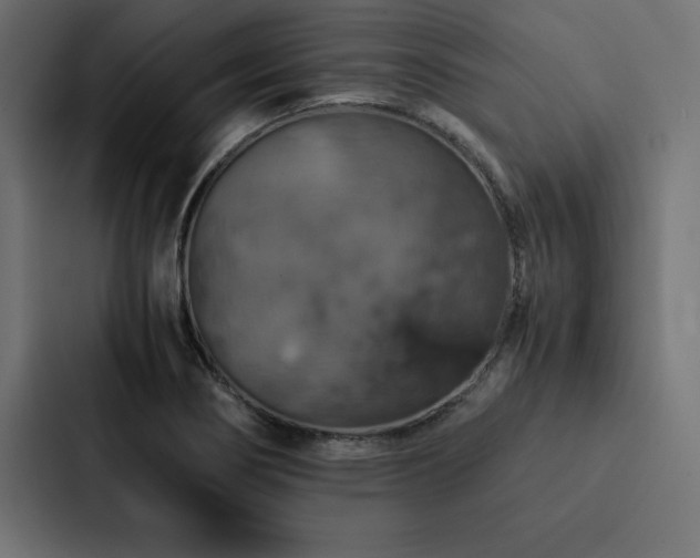 X0000088231274200705151445