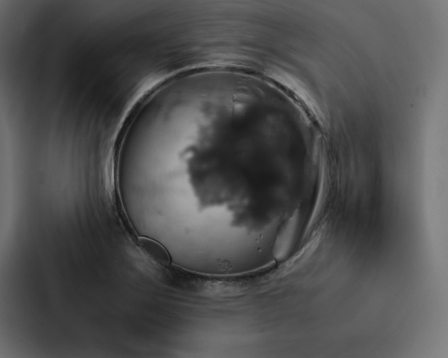 X0000088231275200705151445