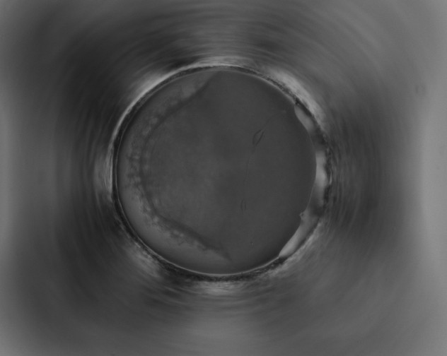 X0000088231276200705151445