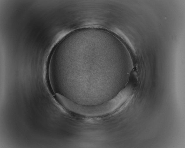 X0000088231277200705151445