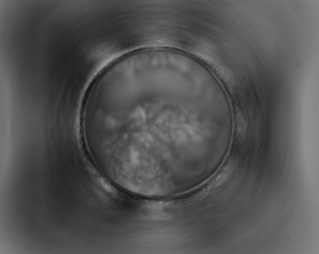 X0000088231278200705151445