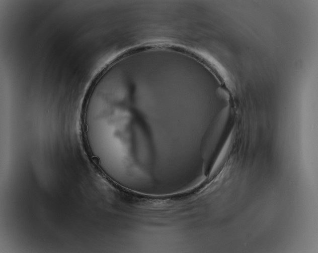 X0000088231279200705151445