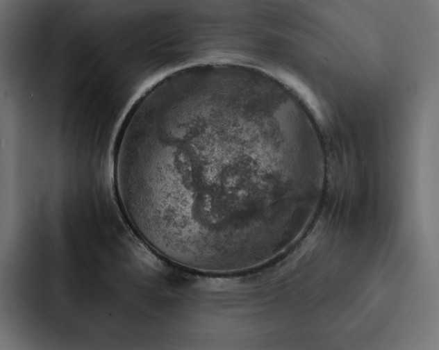 X0000088231280200705151445