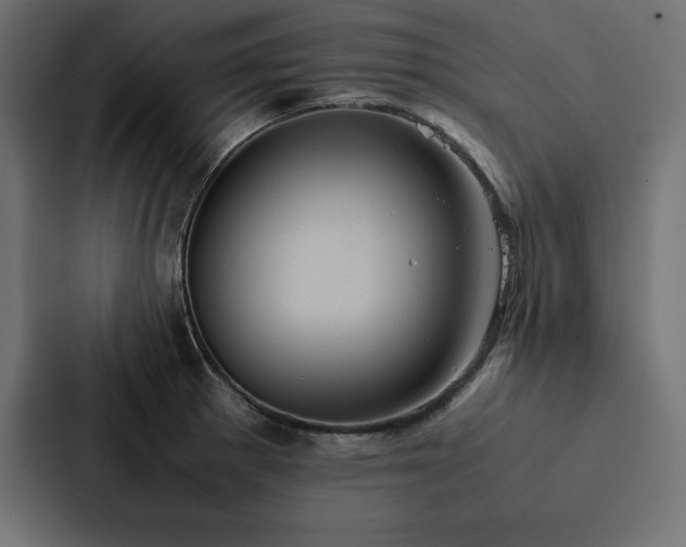 X0000088231281200705151445