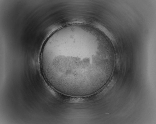 X0000088231282200705151445