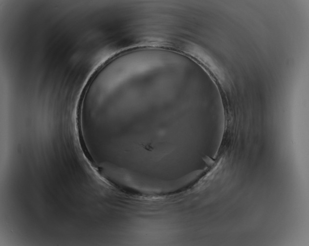 X0000088231283200705151445