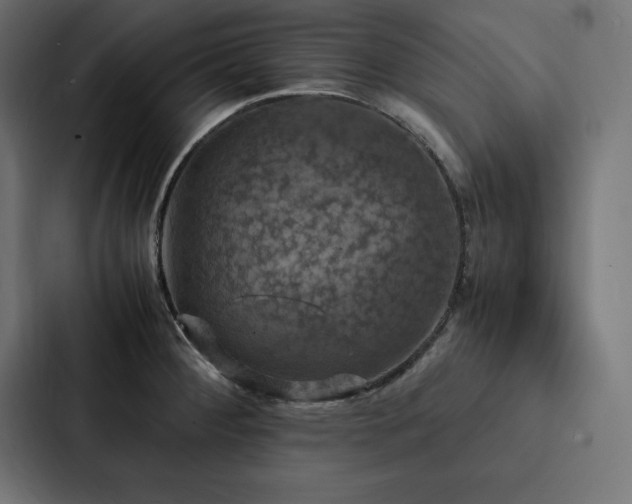X0000088231284200705151445