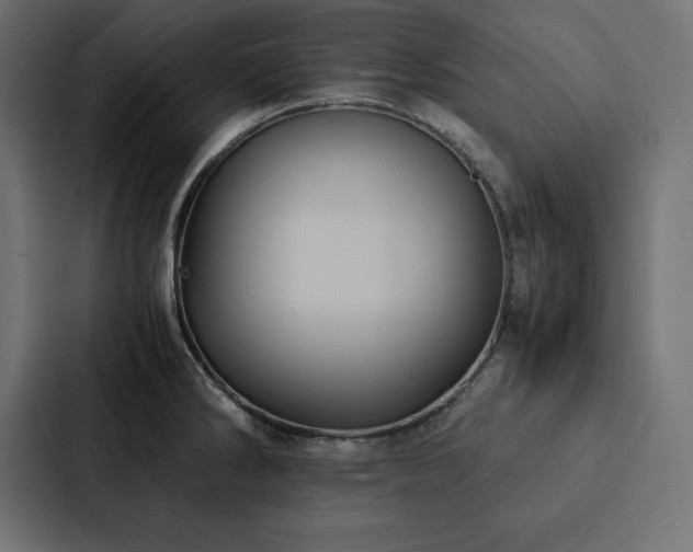 X0000088231286200705151445