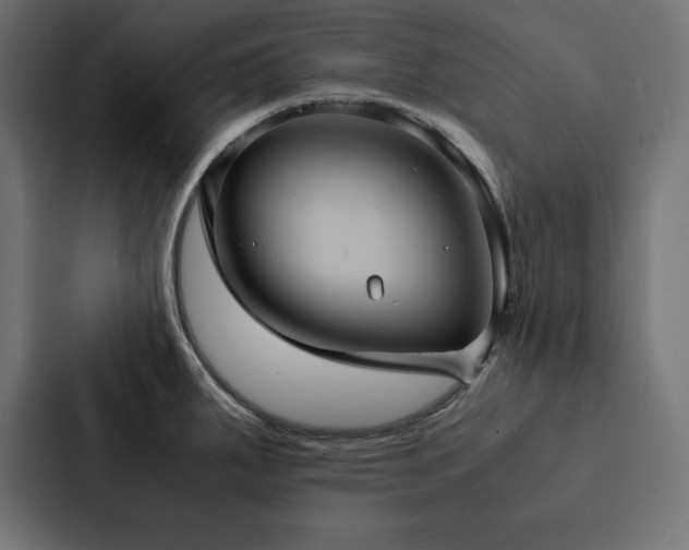 X0000088231287200705151445