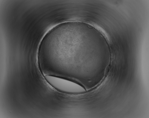 X0000088231288200705151445