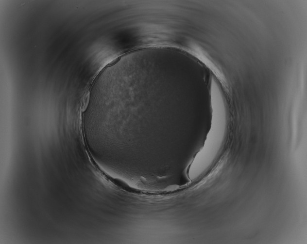 X0000088231289200705151445
