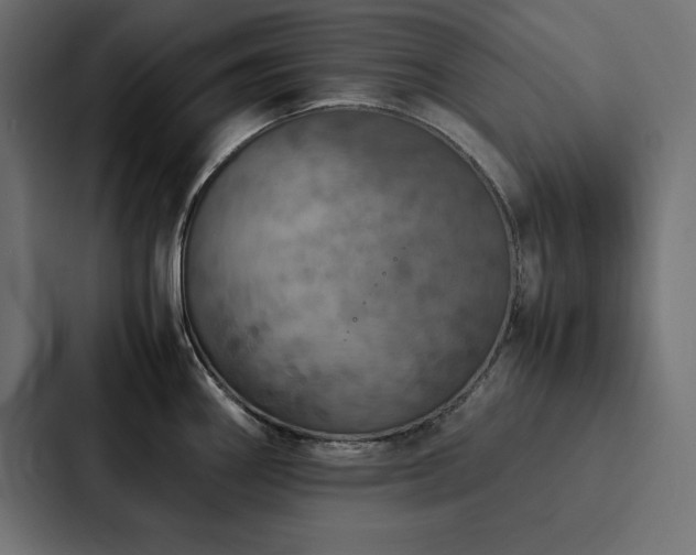 X0000088231290200705151445