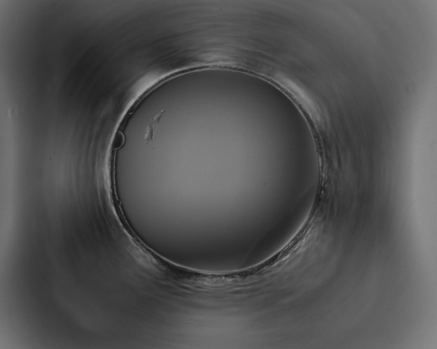 X0000088231291200705151445