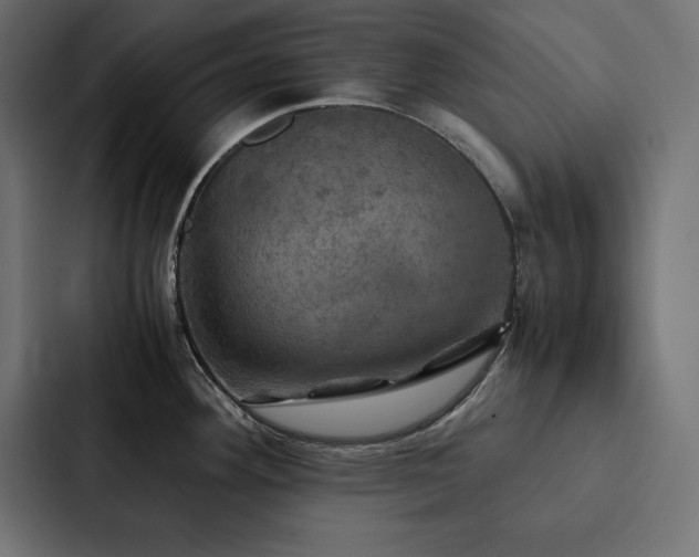 X0000088231292200705151445