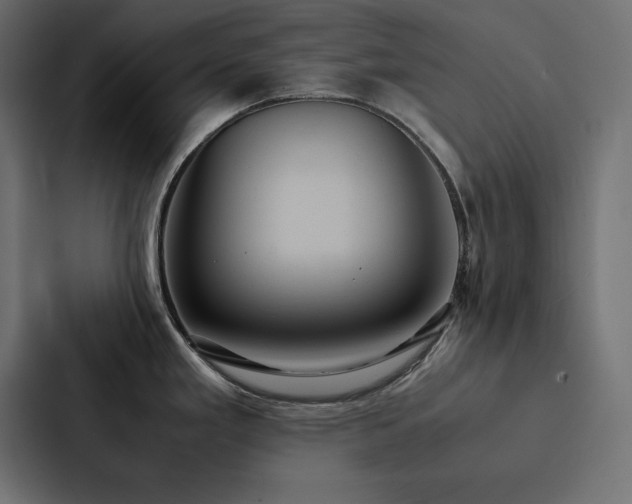 X0000088231293200705151445