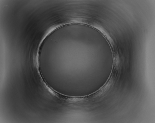 X0000088231294200705151445