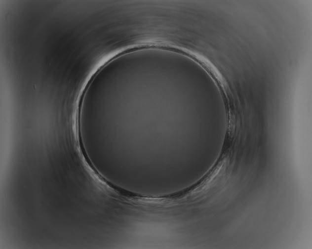 X0000088231295200705151445