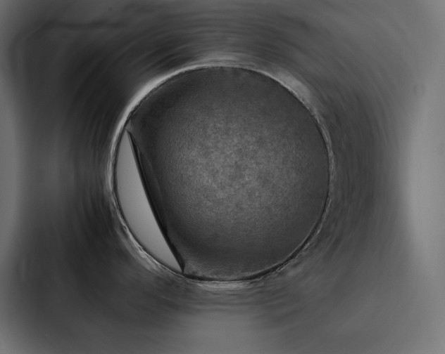 X0000088231296200705151445