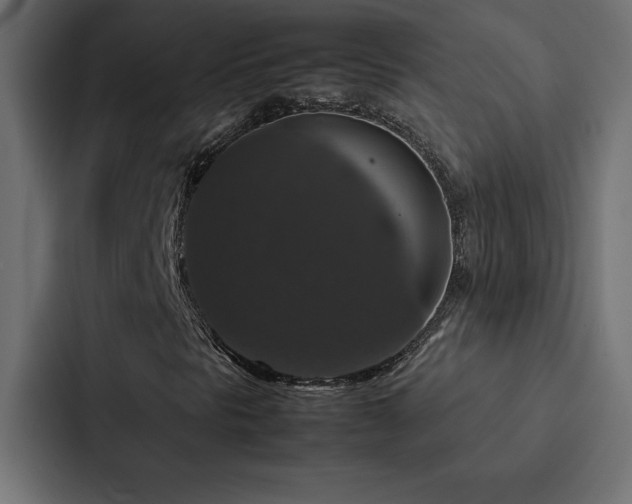 X0000088231297200705151445
