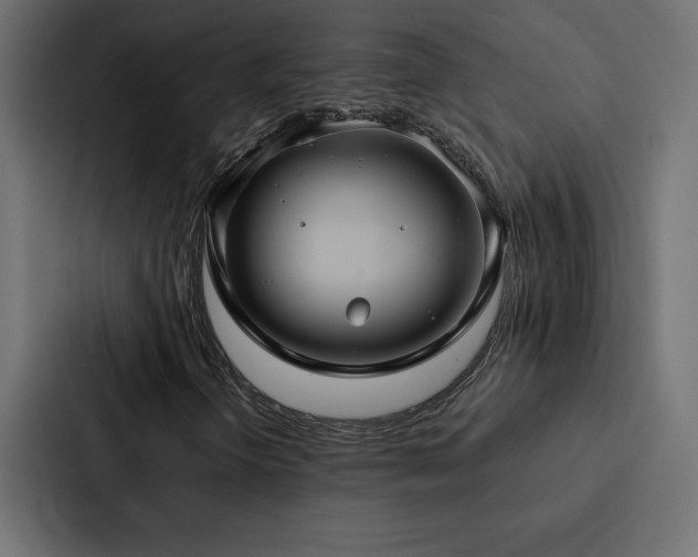 X0000088231298200705151445