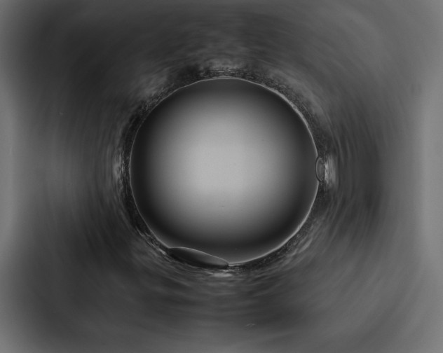 X0000088231299200705151445