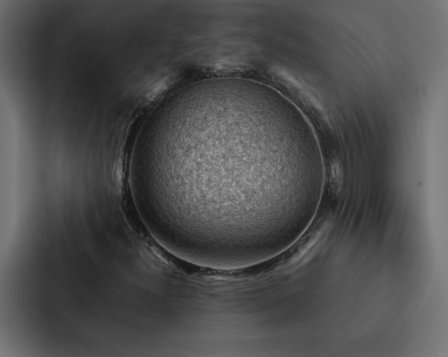 X0000088231300200705151445