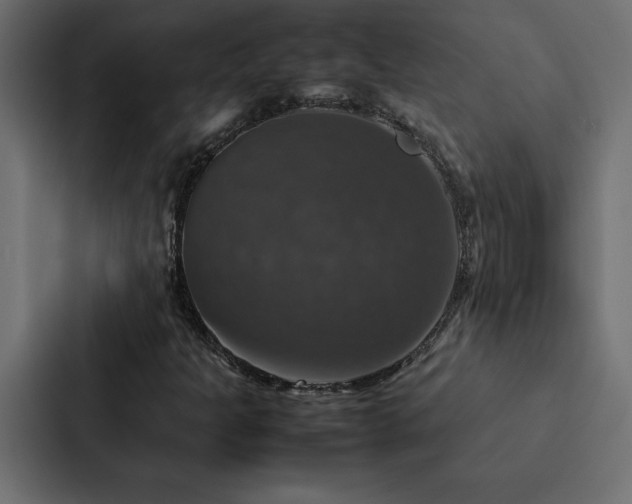 X0000088231301200705151445