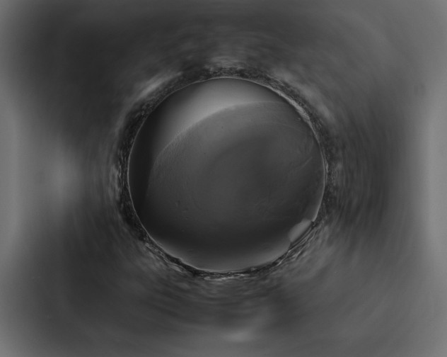 X0000088231303200705151445