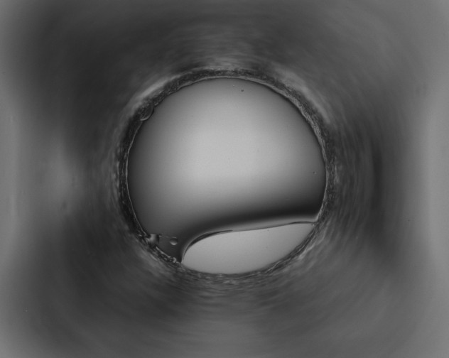 X0000088231304200705151445