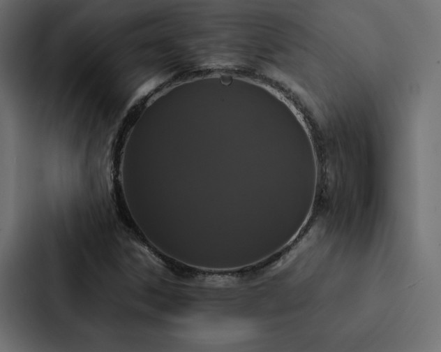 X0000088231306200705151445
