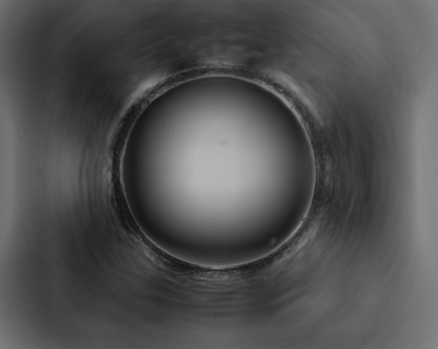 X0000088231307200705151445