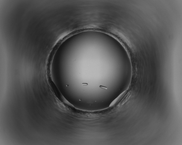 X0000088231308200705151445