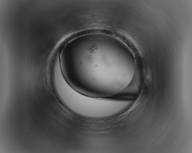 X0000088231310200705151445
