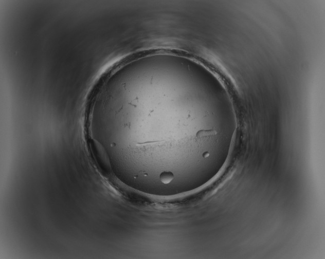 X0000088231312200705151445
