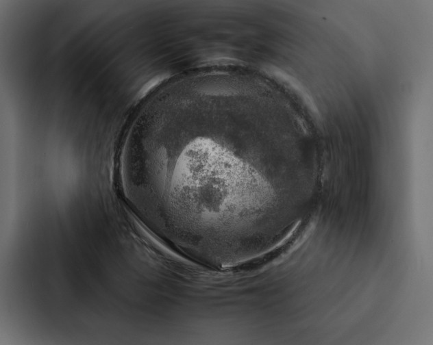 X0000088231313200705151445