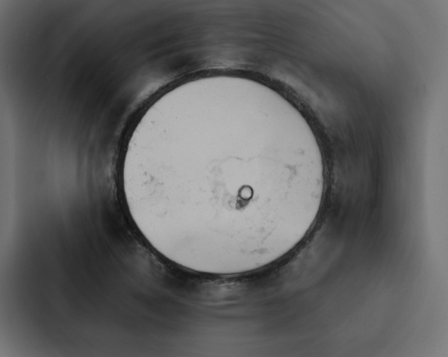X0000088231314200705151445