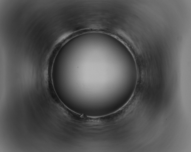 X0000088231315200705151445