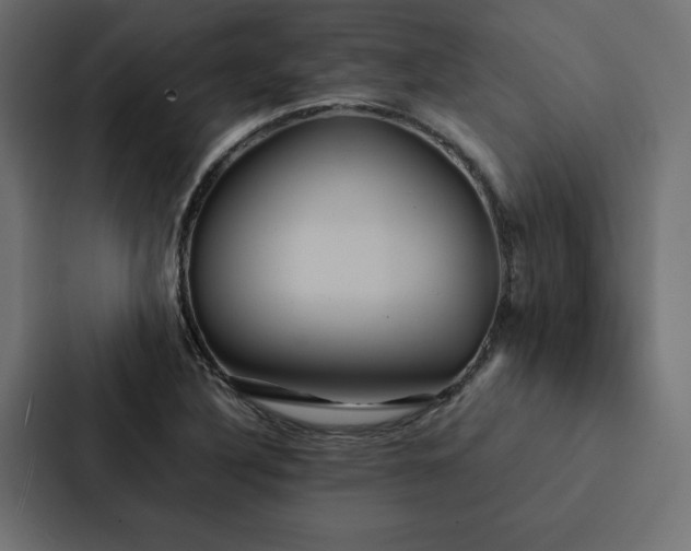 X0000088231316200705151445