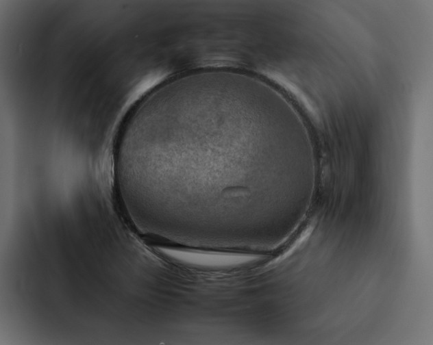 X0000088231317200705151445