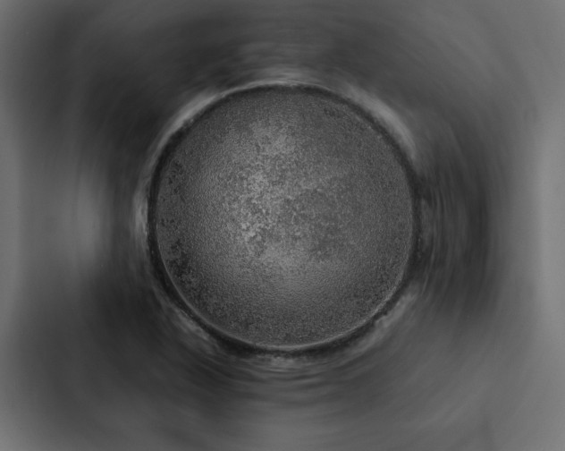 X0000088231318200705151445