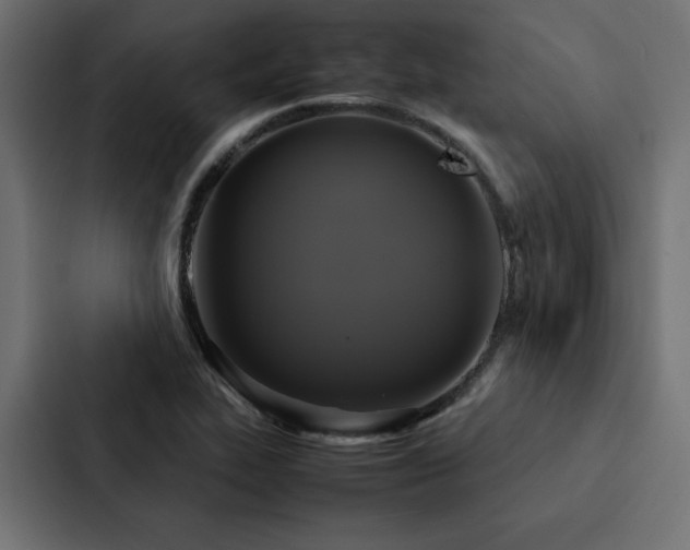 X0000088231319200705151445