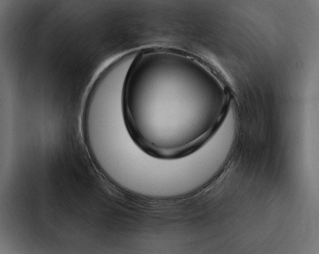 X0000088231320200705151445