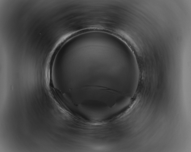 X0000088231323200705151445