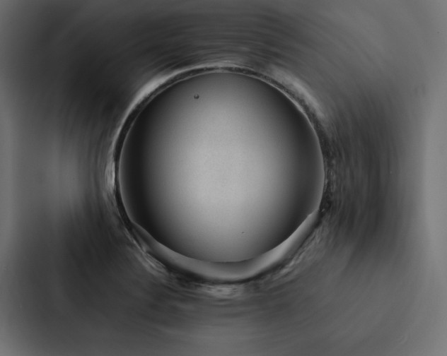 X0000088231324200705151445