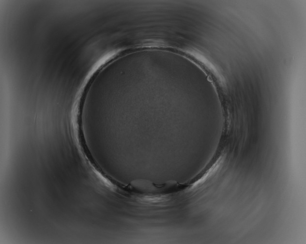 X0000088231325200705151445